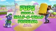 Pups Solve a Snap-N-Wrap Problem still