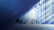 Landing Operations Start! Charge in, Straw Hats! still