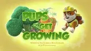 Pups Get Growing still