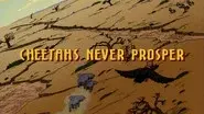 Cheetahs Never Prosper still