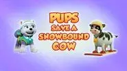 Pups Save a Snowbound Cow still