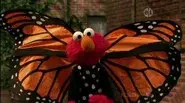 Elmo and the Butterfly still