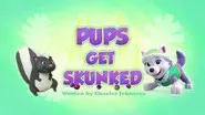 Pups Get Skunked still