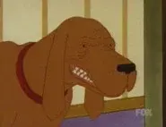Racist Dawg still