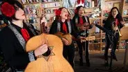 Mariachi Flor De Toloache still