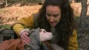 Sniffing the Gauntlet still