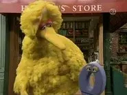 Big Bird Helps Zero still