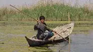 Miracle in the Marshes of Iraq still