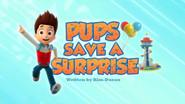 Pups Save a Surprise still