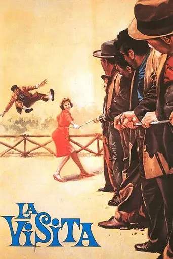 The Visitor poster
