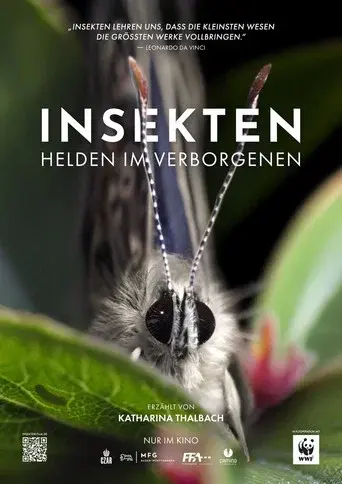 Insects – Hidden Heroes poster