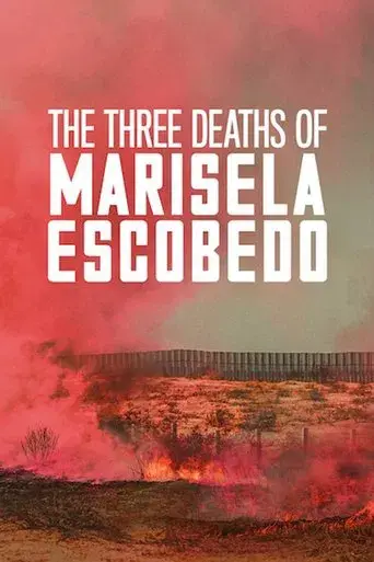 The Three Deaths of Marisela Escobedo poster