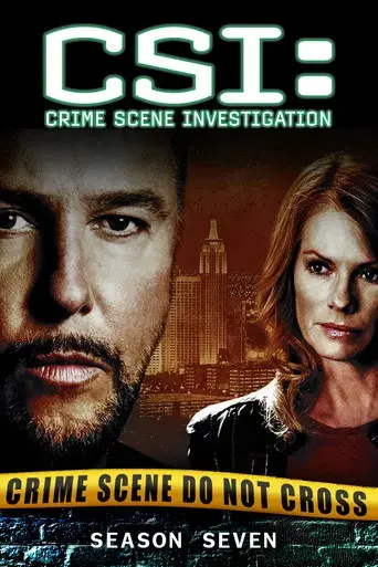 CSI: Crime Scene Investigation season 7 poster