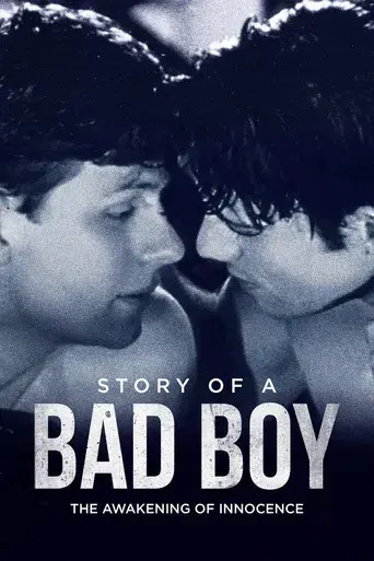 Story of a Bad Boy poster