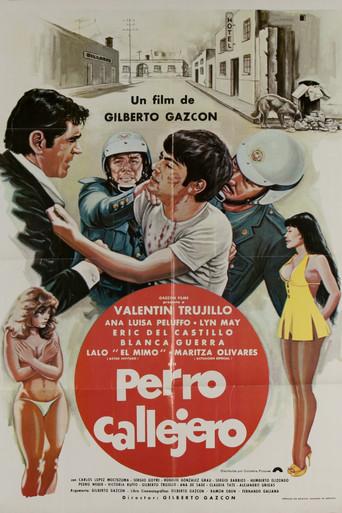 Perro callejero poster