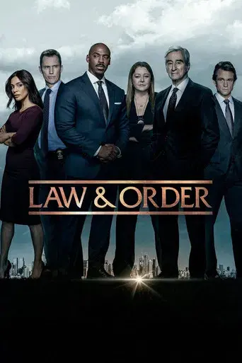 Law & Order · Season 22 poster