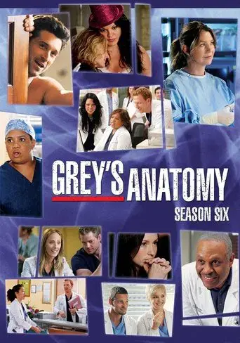 Grey's Anatomy season 6 poster