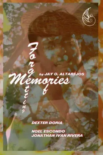 Memories of Forgetting poster