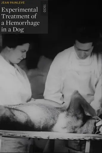 Experimental Treatment of a Hemorrhage in a Dog poster