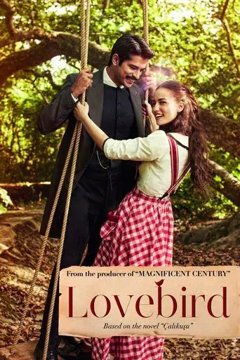 Çalıkuşu poster