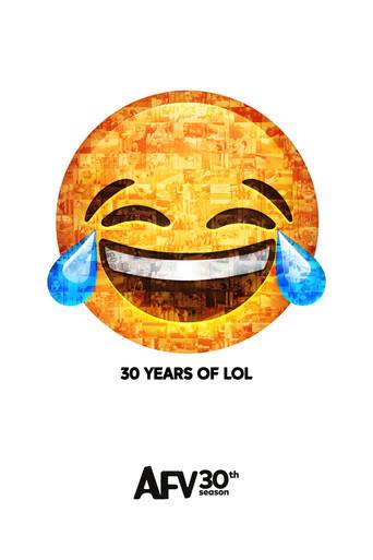 America's Funniest Home Videos season 30 poster