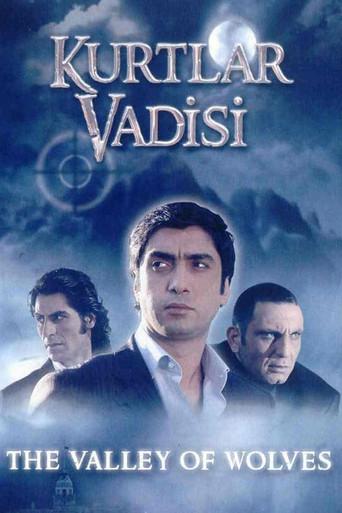 Kurtlar Vadisi poster
