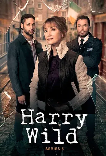 Harry Wild · Season 5 poster