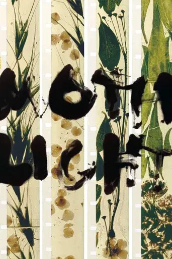 Mothlight poster