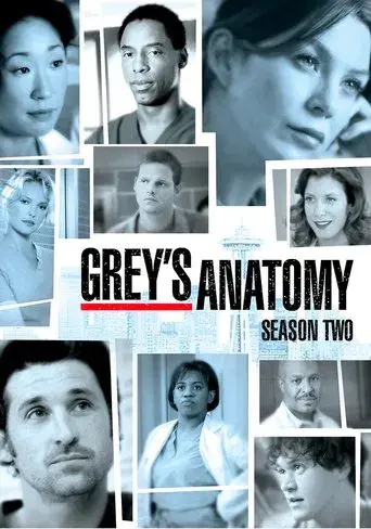 Grey's Anatomy season 2 poster