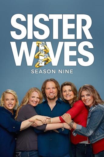 Sister Wives season 6 poster