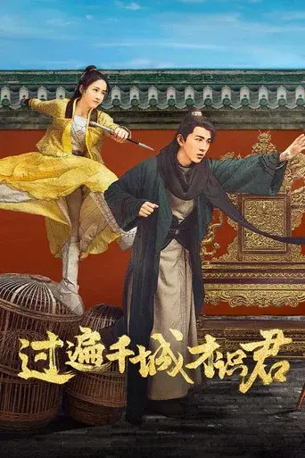过遍千城才识君 poster