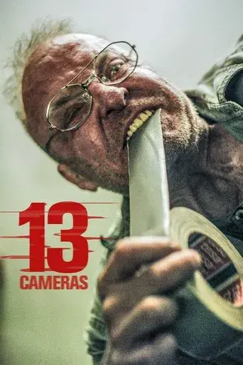 13 Cameras poster