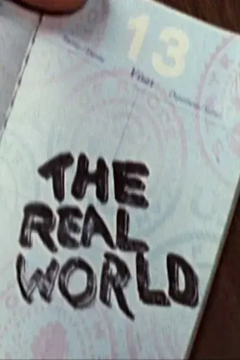 The Real World season 13 poster