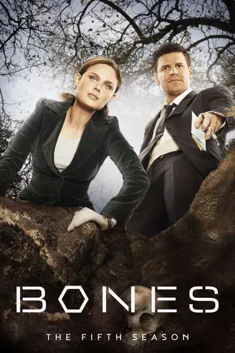 Bones season 5 poster