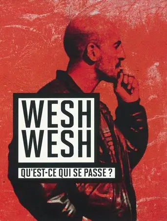 Wesh, Wesh, What's Happening? poster