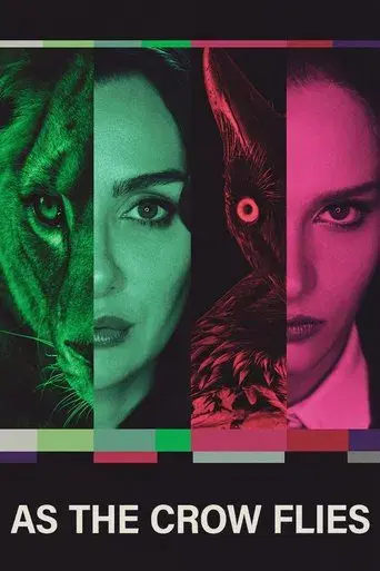 Kus uçusu poster
