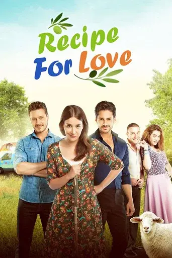 Hayat Sevince Güzel poster