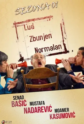Crazy, Confused, Normal season 1 poster