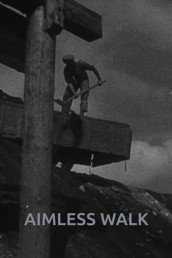 Aimless Walk poster