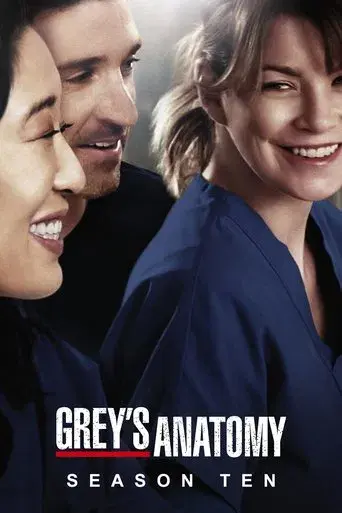 Grey's Anatomy season 10 poster