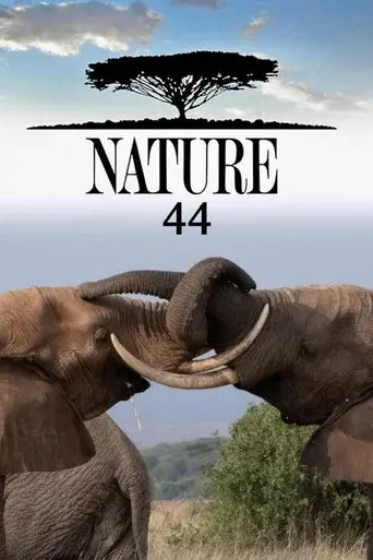 Nature season 44 poster