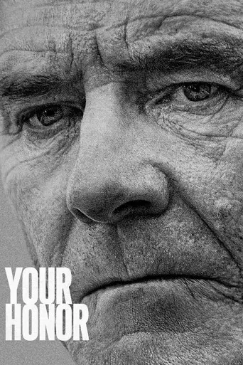 Your Honor season 1 poster