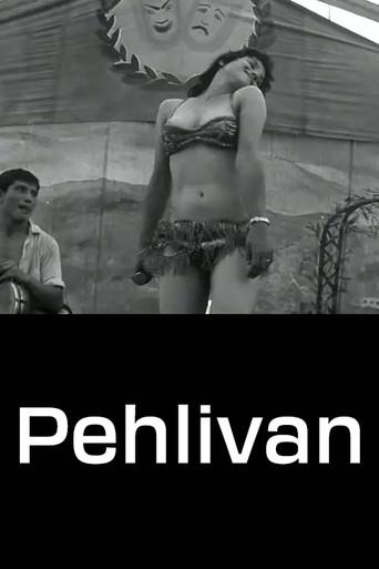 Pehlivan poster
