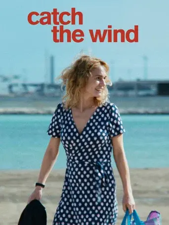Catch the Wind poster