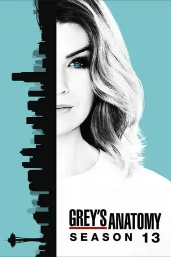 Grey's Anatomy season 13 poster