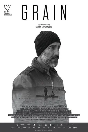 Buğday poster