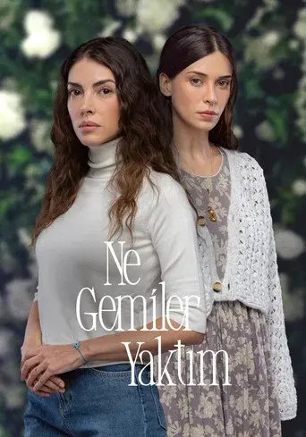 Ne Gemiler Yaktım poster