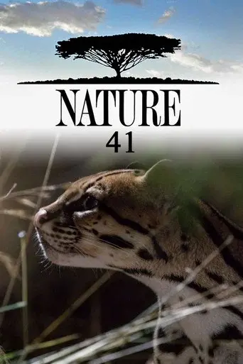 Nature season 41 poster