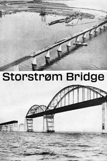 Storstrøm Bridge poster