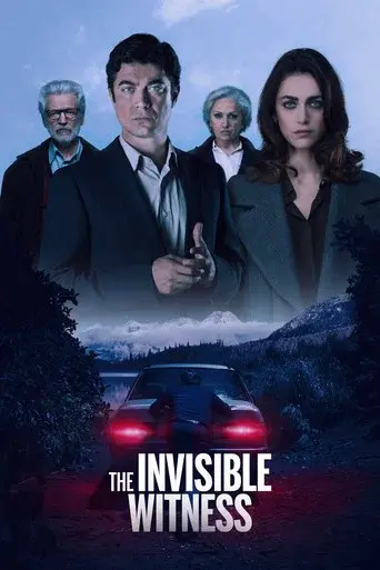 The Invisible Witness poster